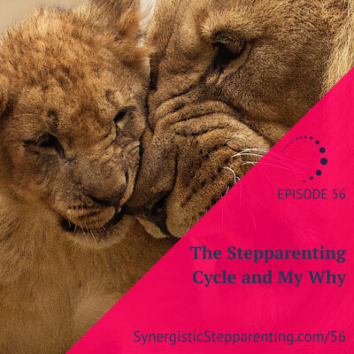The Stepparenting Cycle and My Why