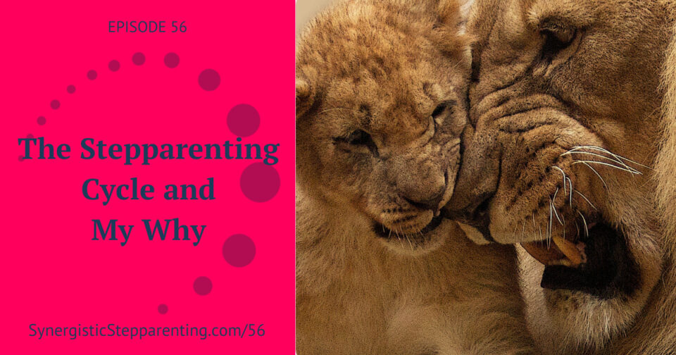 Ep 56 – The Stepparenting Cycle and My Why